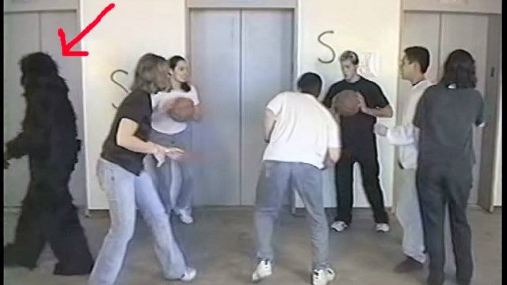 Multi Task และโลกของ Panorama