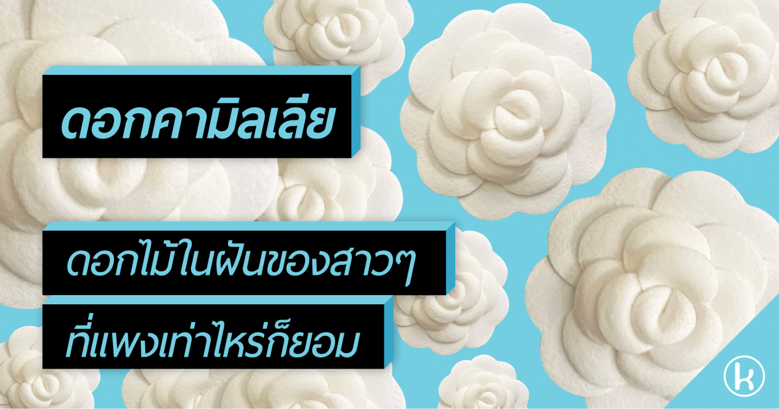 ดอกคามิลเลีย...ดอกไม้ในฝันของสาวๆ ที่แพงเท่าไหร่ก็ยอม