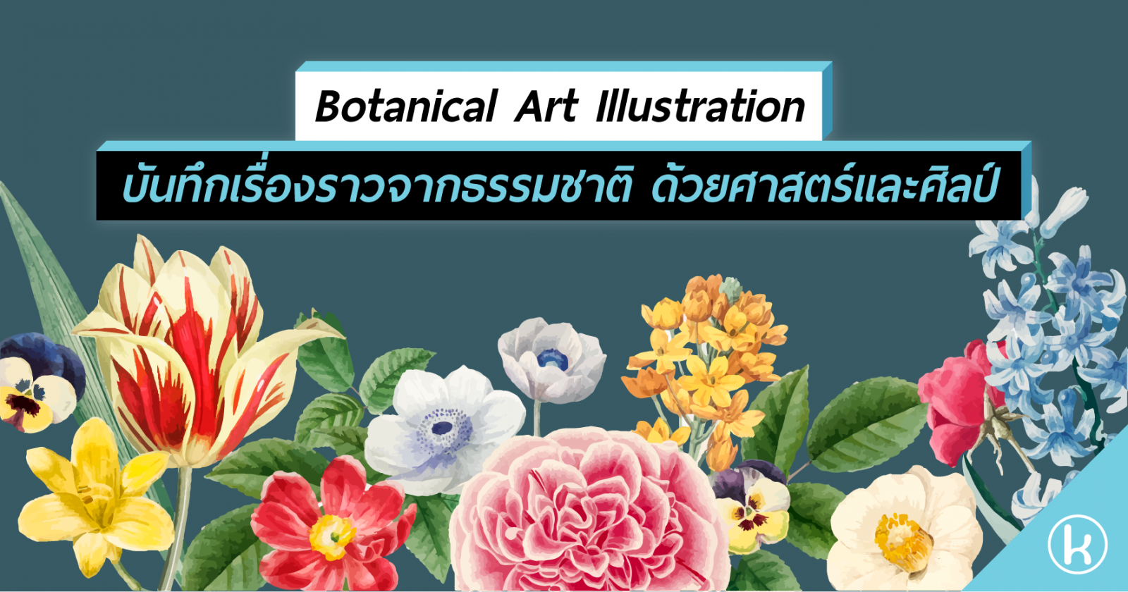 Botanical Art  Illustration บันทึกเรื่องราวจากธรรมชาติ ด้วยศาสตร์และศิลป์
