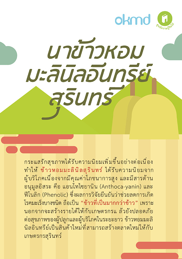 นาข้าวหอมมะลินิลอินทรีย์สุรินทร์